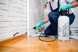 Best Fumigation Services  in Niagara Falls, NY